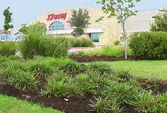 Commercial Landscaping