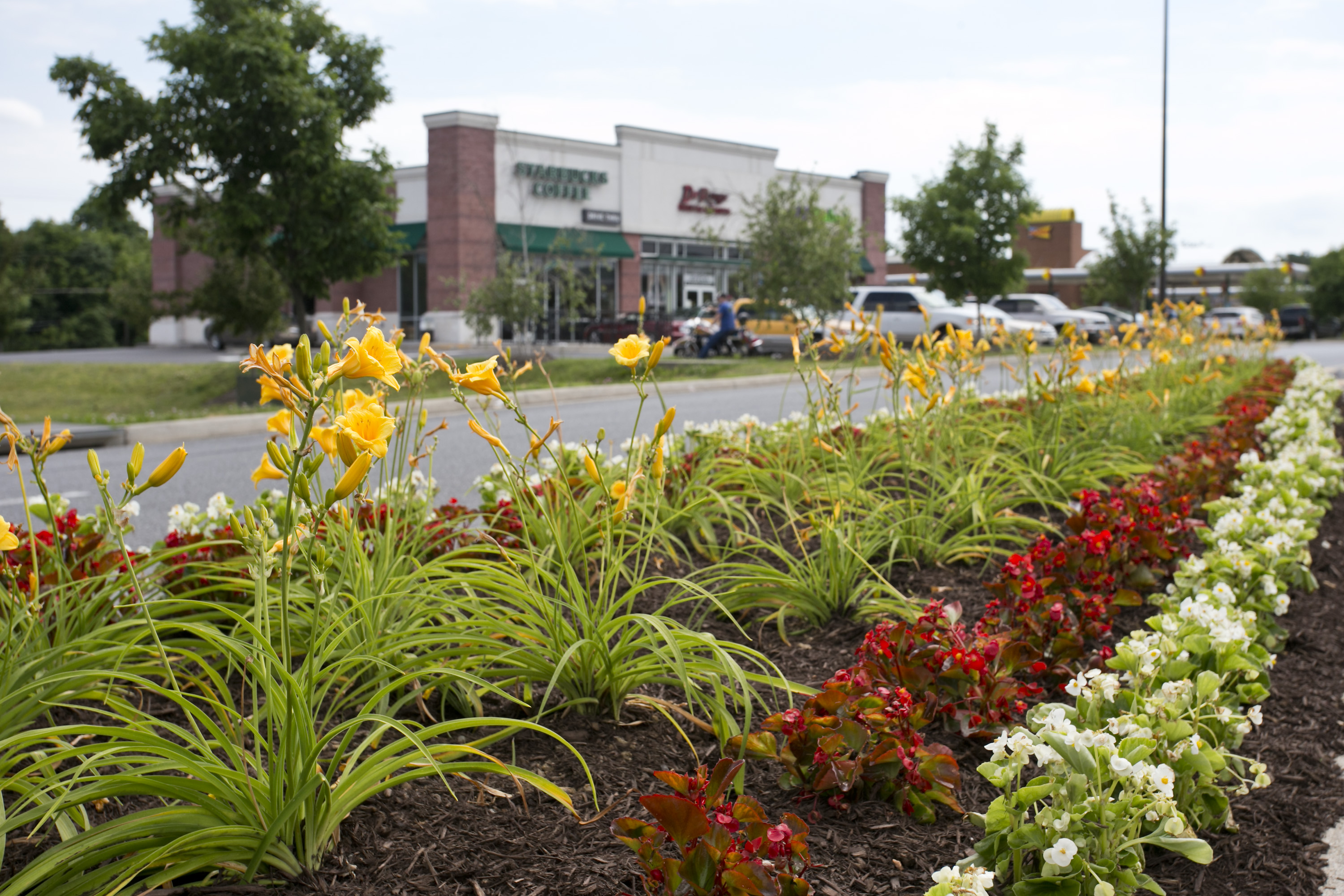 Commercial Landscaping
