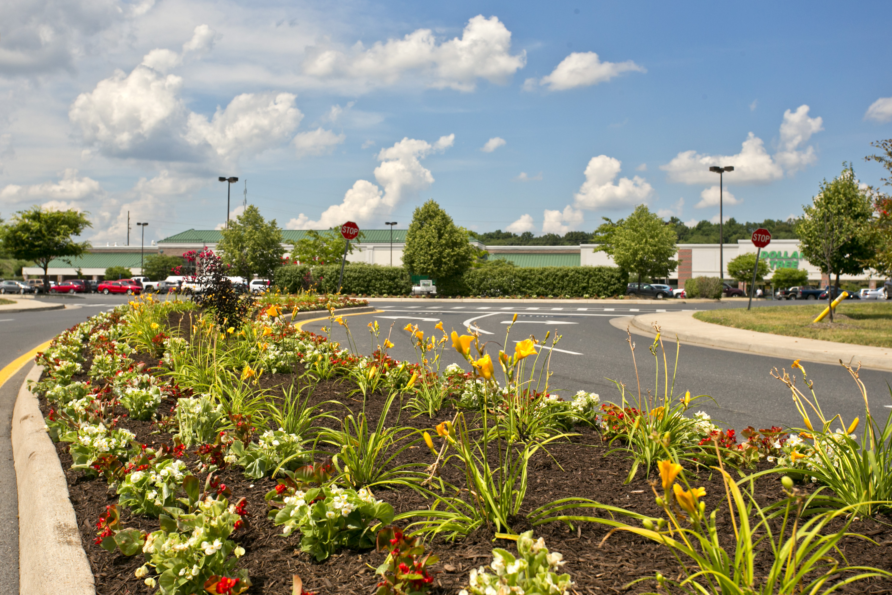 Commercial Landscape Care